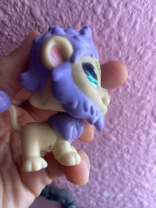 LPS León Morado