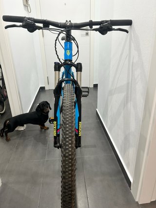 Bicicleta Trek Talla L Frenos Disco