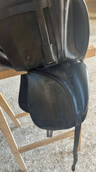 Silla de Doma 17.5