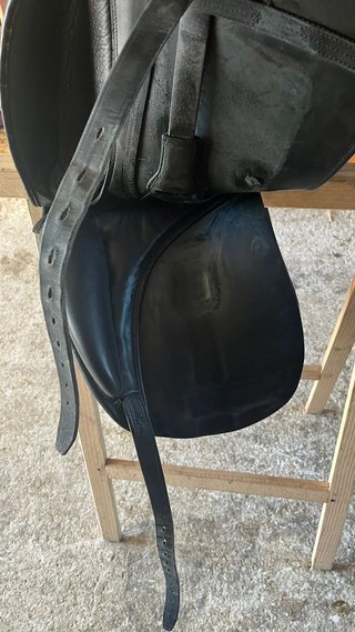 Silla de Doma 17.5