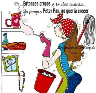 Mujer de la limpieza