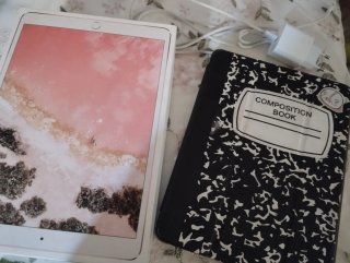 iPad Pro 10.5"+ Apple Pencil 1ª Gen + funda