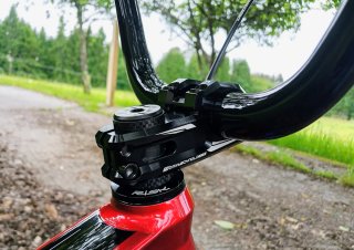 BMX SUNN ROYAL RACE REPLICA PRO