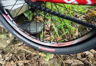 BMX SUNN ROYAL RACE REPLICA PRO
