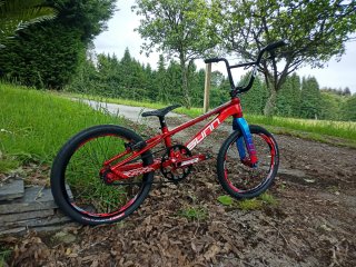 BMX SUNN ROYAL RACE REPLICA PRO