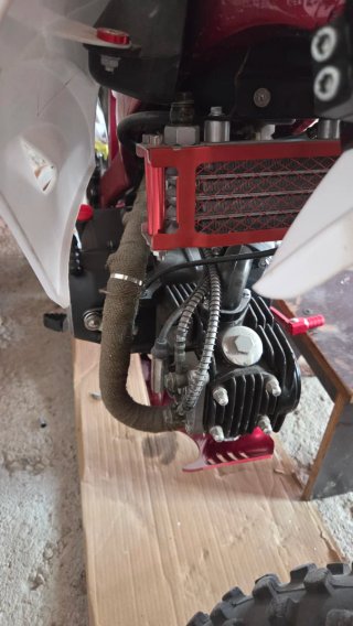 Pitbike Orion 125cc proyecto para terminar
