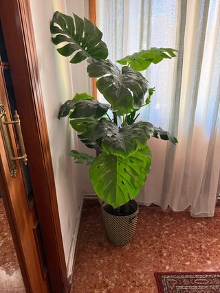 Planta Monstera Artificial con Macetero