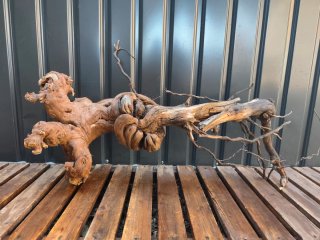Raíz/tronco Decoración Acuario OFERTA SOLO HOY!
