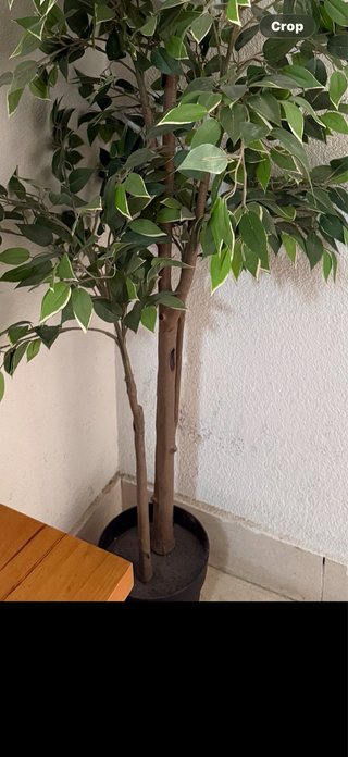 Planta artificial decorativa interior