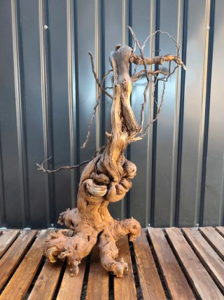 Raíz/Tronco (EMERGIDO) Decoración Acuario