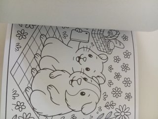 Set 12 Pennarelli + colouring book