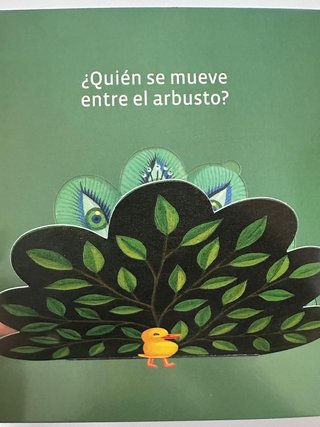 2-6 años LIBRO Infantil. CON SOLAPAS