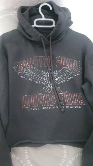 Sudadera Hollister Mystic Soul