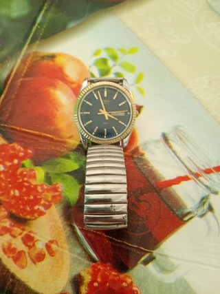Orologio Timex Quarzo Blu e Oro