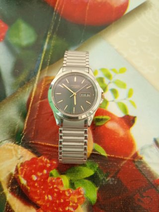 Orologio Pulsar Quartz
