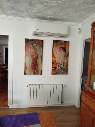 Réplicas Cuadros Klimt (2 uds)