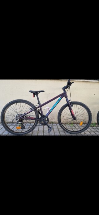 Bici Orbea MX 24