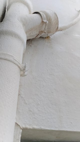 Servicios de pintura profesional