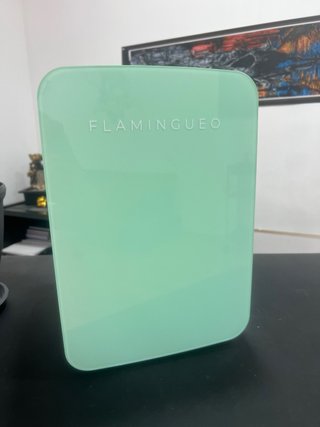 Nevera pequeña Flamingueo