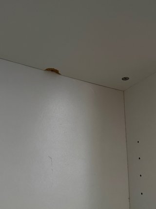 Estantería Billy Ikea Blanca