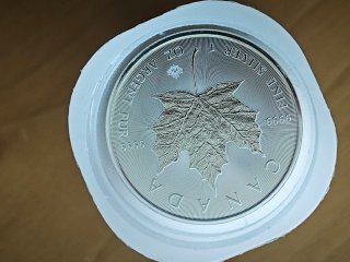 Tubo Onzas Maple Leaf Plata 9999