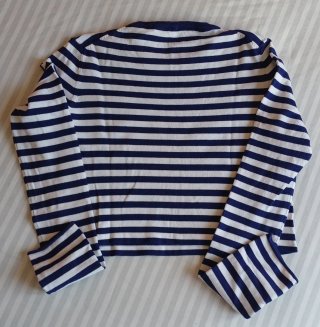 Jersey Rayas Azul y Blanco