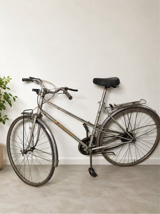 Bicicleta Gacela Clásica.