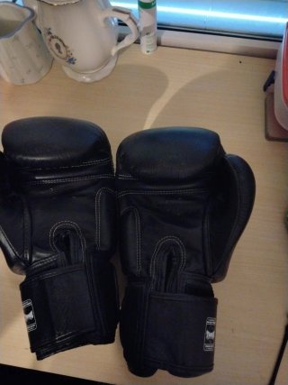 Guantes Twins Special 14 oz Negros