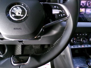 Skoda Karoq 2.0TDI 150cv DSG 4x4 2023