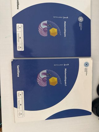 Matemàtiques I 1 Batxillerat : Projecte constru...