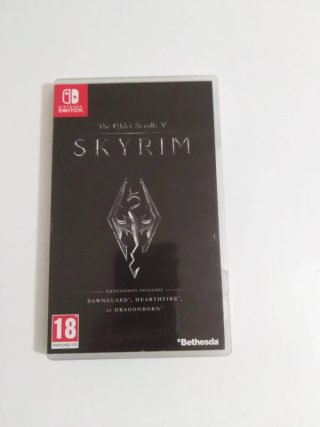 The Elder Scrolls V Skyrim Nintendo Switch
