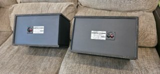 Altavoces Bose 301 Series III