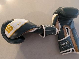 Guantes Boxeo Leone 1947 16 oz