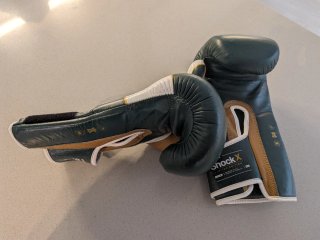 Guantes Boxeo Leone 1947 16 oz