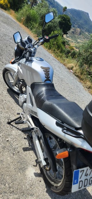 Honda CBF250 Plata