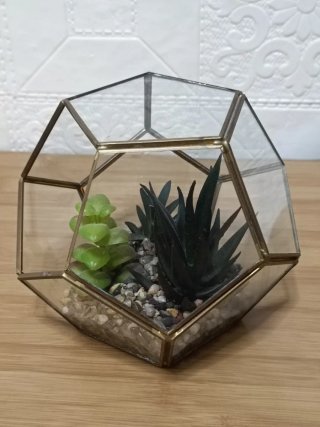 Terrario Geométrico Cristal y Suculentas