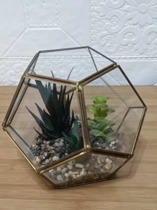 Terrario Geométrico Cristal y Suculentas