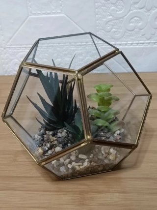 Terrario Geométrico Cristal y Suculentas