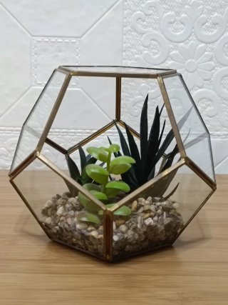 Terrario Geométrico Cristal y Suculentas
