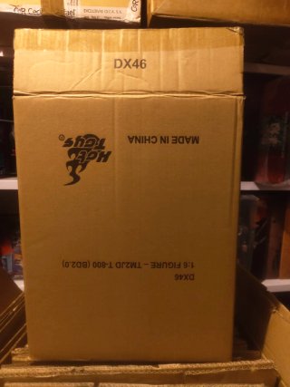 Caja vaciavHot Toys DX46 1:6 T-800