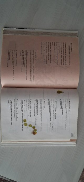 Libro Comida Sana - Manuel Torreiglesias y Mª José
