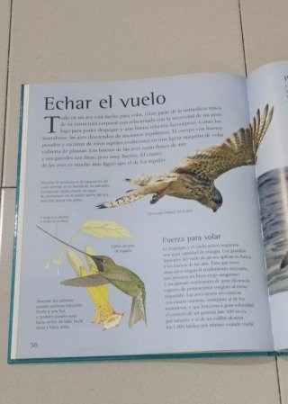 Enciclopedia de los animales