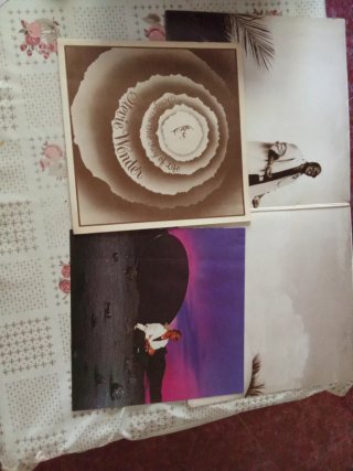Vinilo LP Stevie Wonder In Square Circle