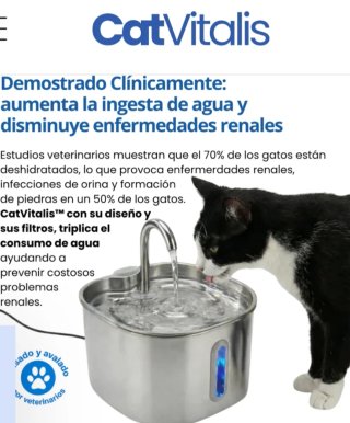 Fuente para gatos CatVitalis