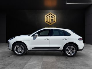 Macan