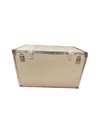 Baúl blanco y plateado