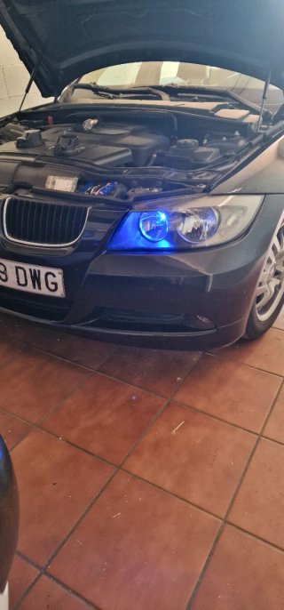 Luces LED 5W Canbus