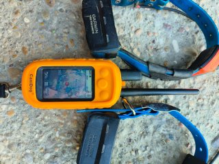Garmin Alpha 100 + 2 Collares T5