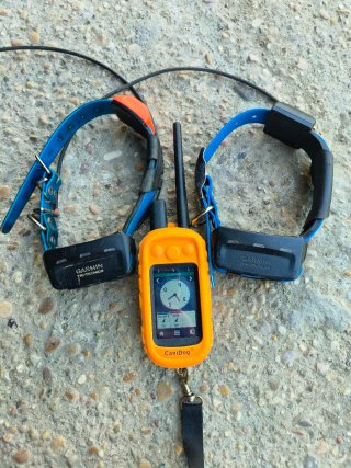 Garmin Alpha 100 + 2 Collares T5
