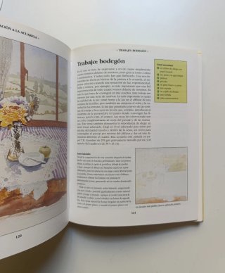 Dibujar y pintar. Curso de arte para principiantes